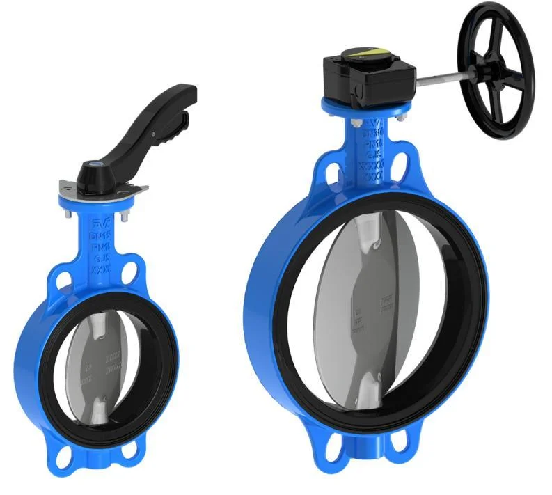 Hình ảnh minh họa 1